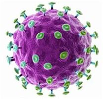 Was ist eine Papillomavirus -Infektion